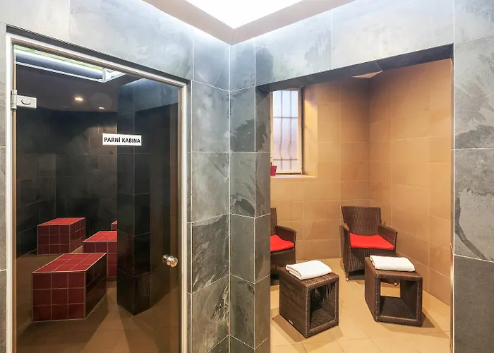 Hotel Mercure Center