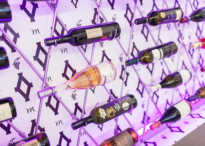 美居奥斯特拉瓦中心酒店 俄斯特拉发